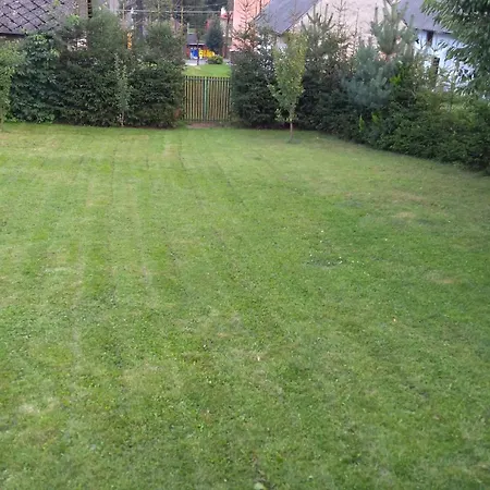 Bluebell Séjour chez l'habitant *